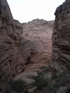 Quebrada de Cafayate 50