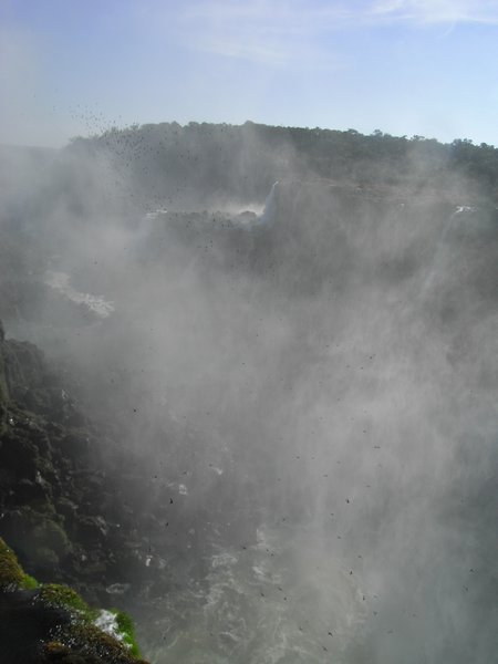 Iguazu 13