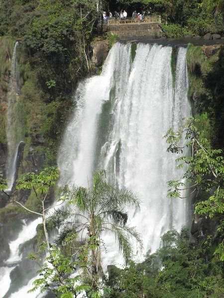 Iguazu 16