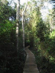 Iguazu 37