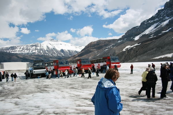 Busy Icefields