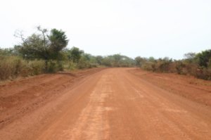 Ngaoundere road