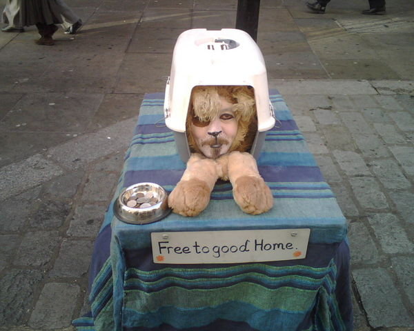 A strange puppy in Covent Garden!