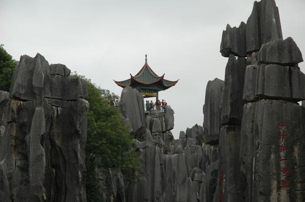 Stone forrest