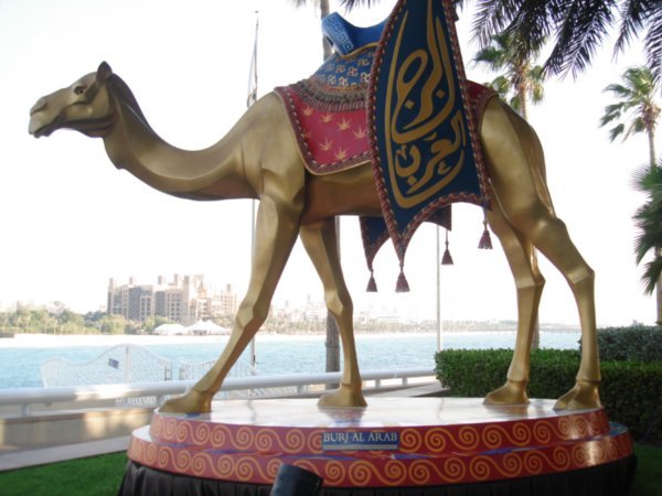 Camel at Burj
