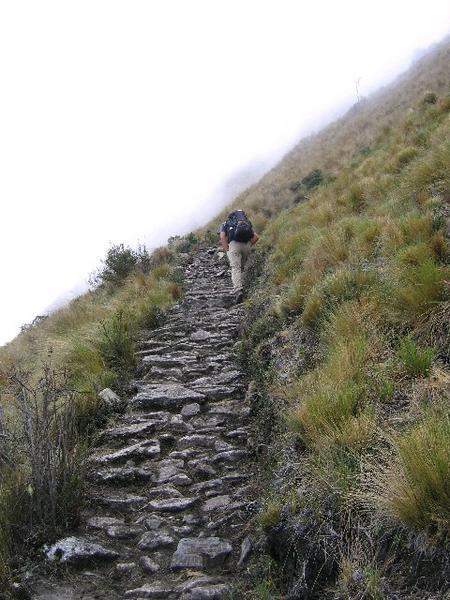 Inca paving
