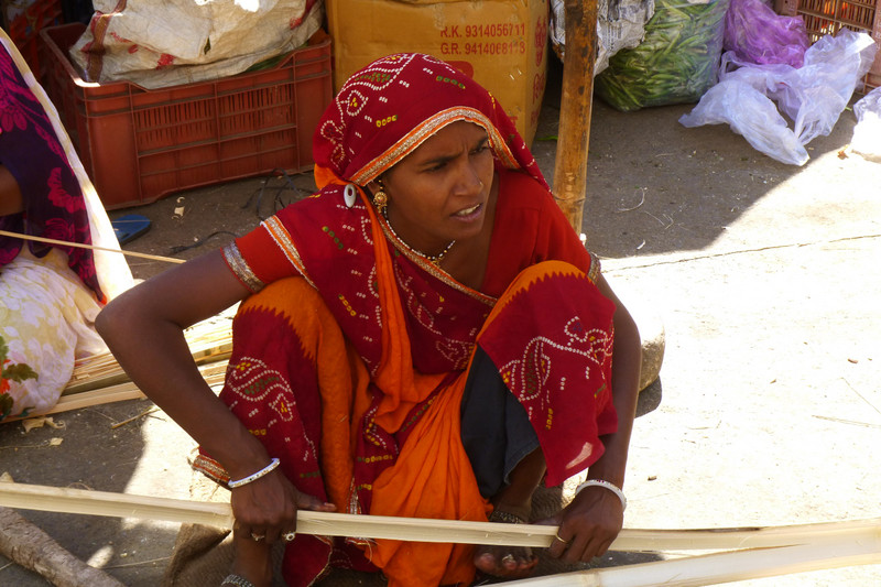 Basket weaver, Udaipur market