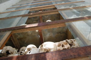 each shelf has skulls  seperated by age  and sex