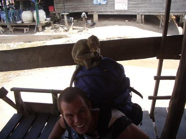 Monkey on my back