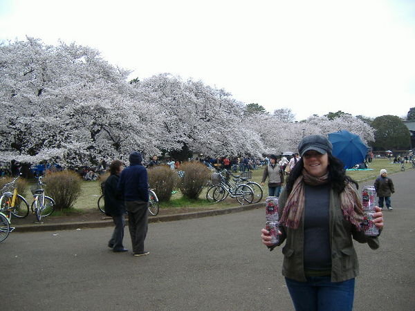 In the park with the cherry blossom beer