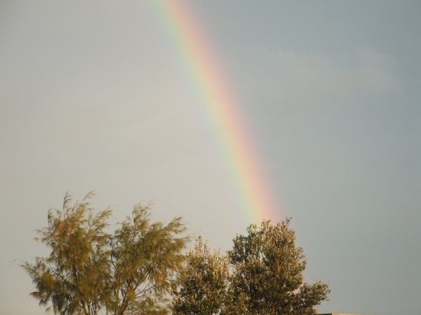 A fantastic Rainbow