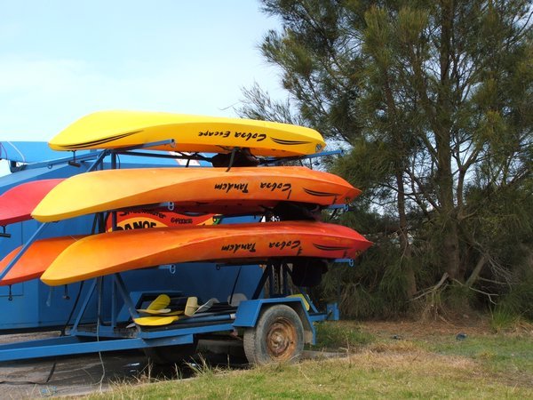 The Kayaks