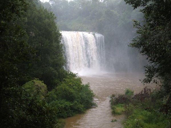 Dangar Falls at Dorrigo