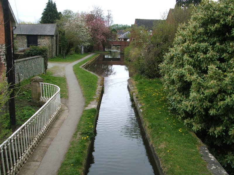 Welshpool Canal (2)