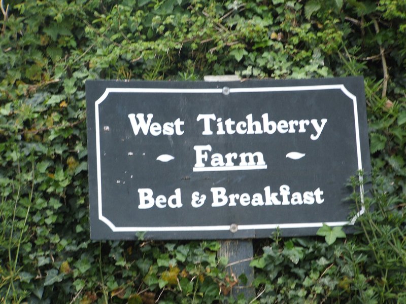 020 Titchberry