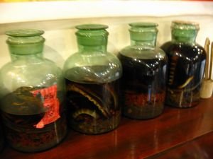 The many flavors of Snake Wine