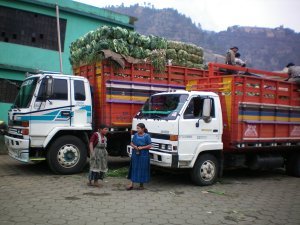 Trucks ready to deliver vegetables all over Central America