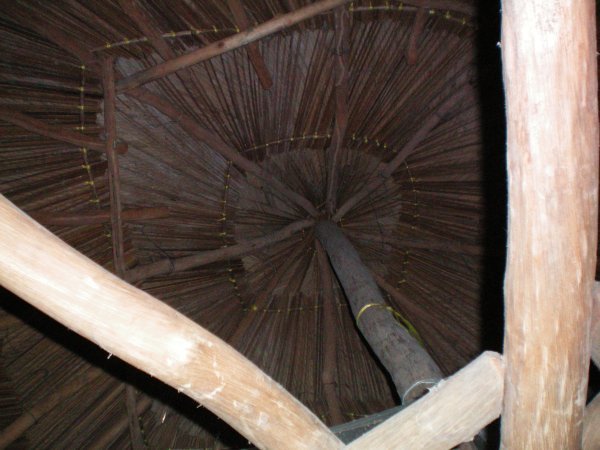 The amazing thatch roof