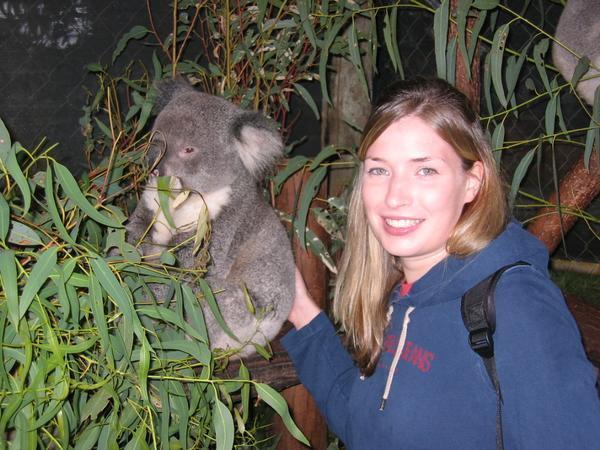 Fiona and the Koala