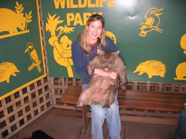 Fiona and the wombat