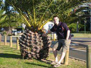 Andrew and the big pineapple
