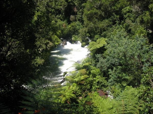 Okere Falls