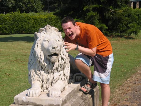 Andrew and the lion