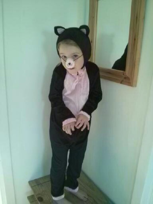 Lois the cat at Halloween