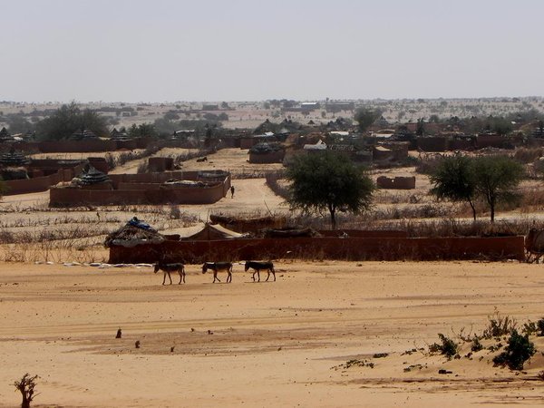 View of camp with donkeys