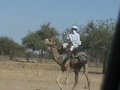Man riding camel near Mile camp