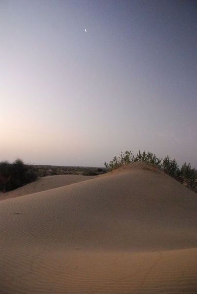 the desert at night