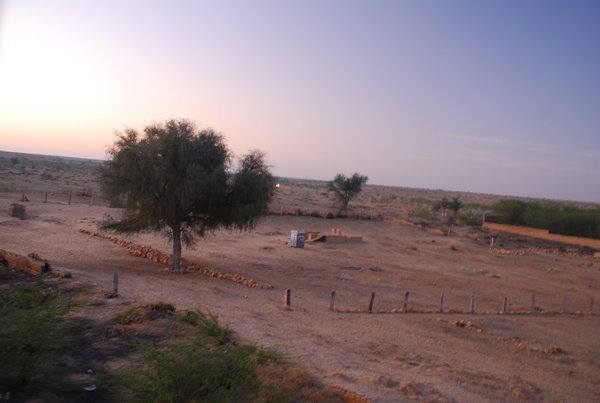 desert view at dawn
