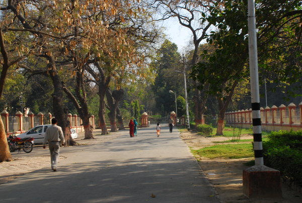 main road through BHU campus