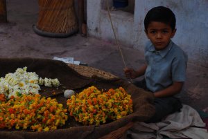 boy selling flowers in the market