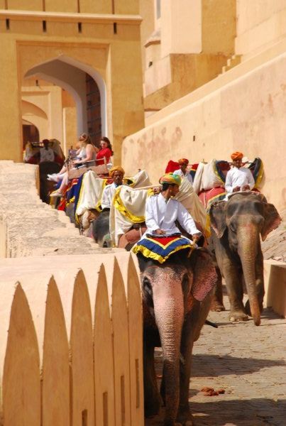 elephant procession 1