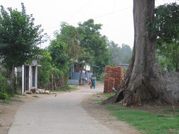 the main road in the village