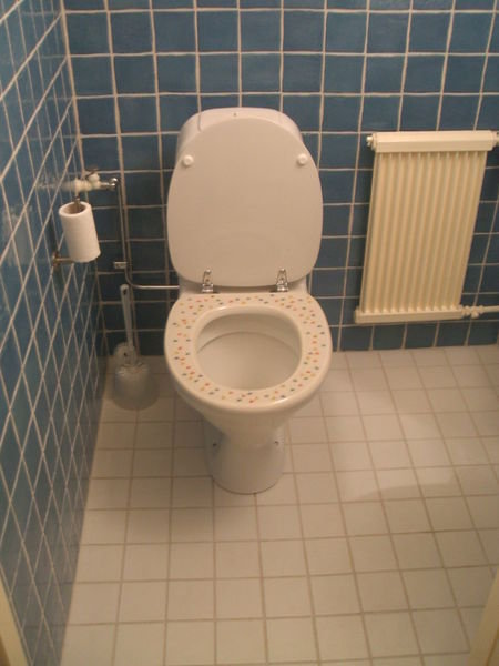 Swedish Toilet