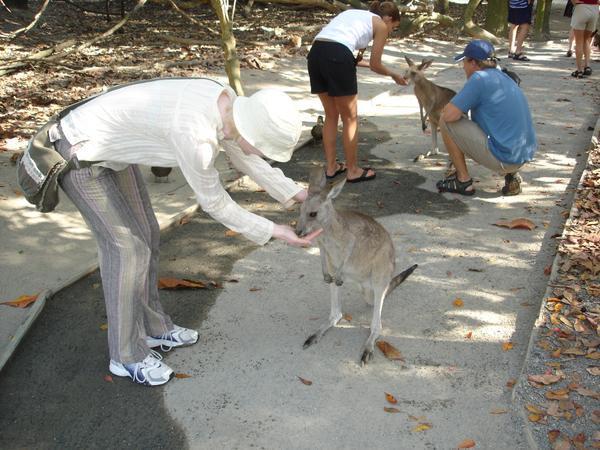 Jo feeding a Kangaroo