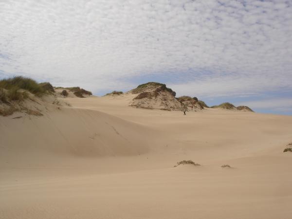 Sand Dune on Great Ocean Road