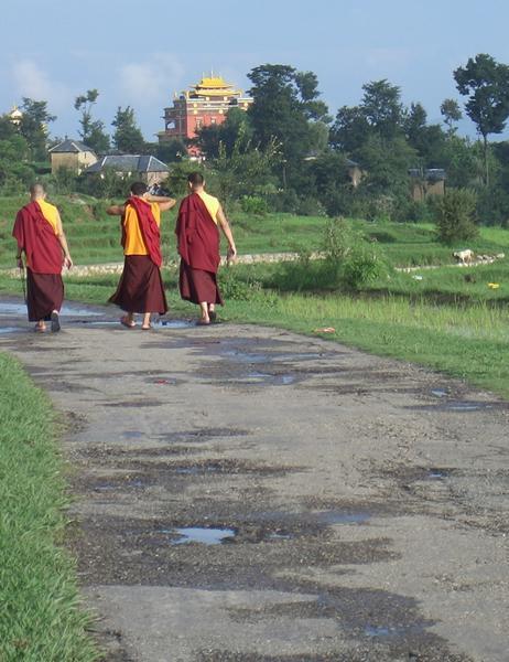 Stalking Monks