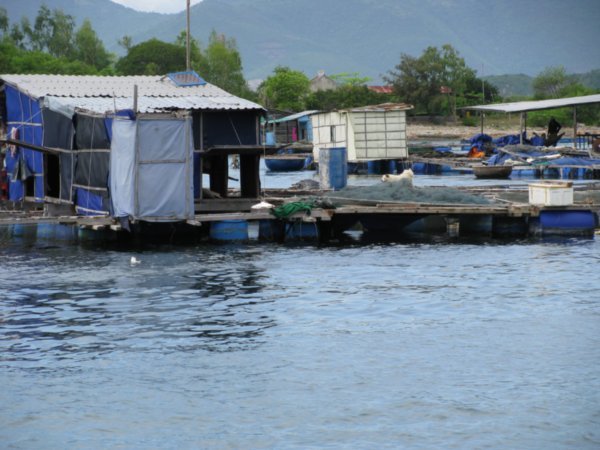 Floating fish farms