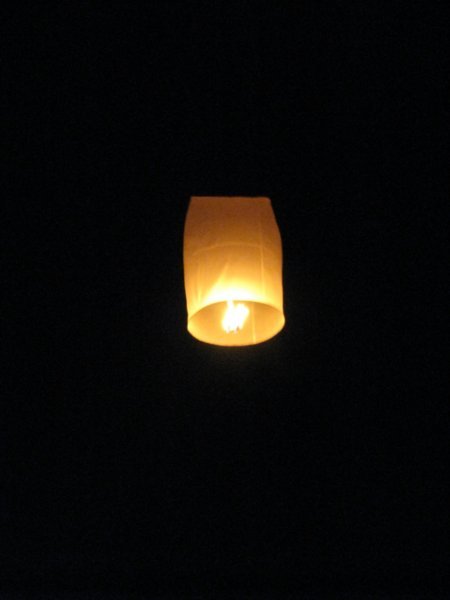Thai Lantern