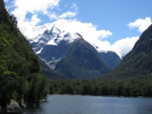 Another beautful view over Milford Sounds