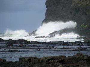 The stormy seas of The Catlins