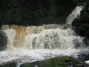 Mclean Waterfall, Catlins