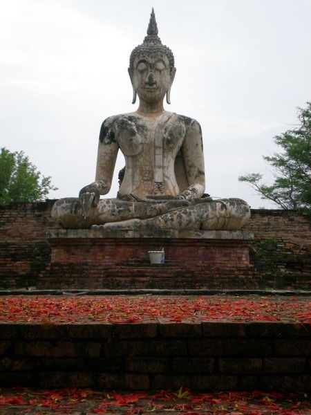 Buddha and red flowers