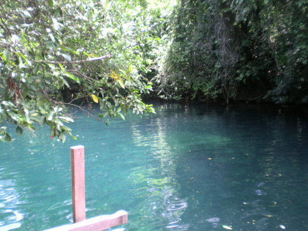 Sucuri river in Bonito