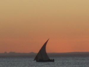 Dhow sunset