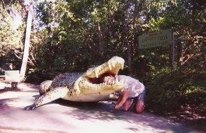 Monster croc eats Aussie!