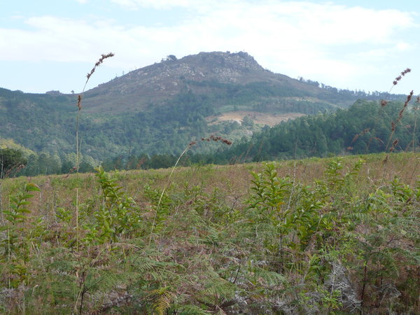 Swaziland reserve